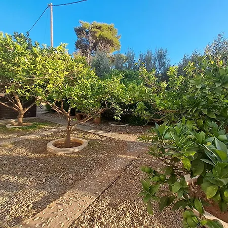 Leylands Yard Agios Fokas (Laconia)