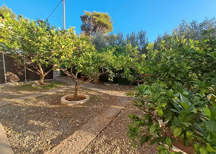 Leylands Yard Agios Fokas (Laconia)